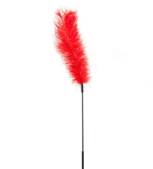 Ostrich Feather Tickler