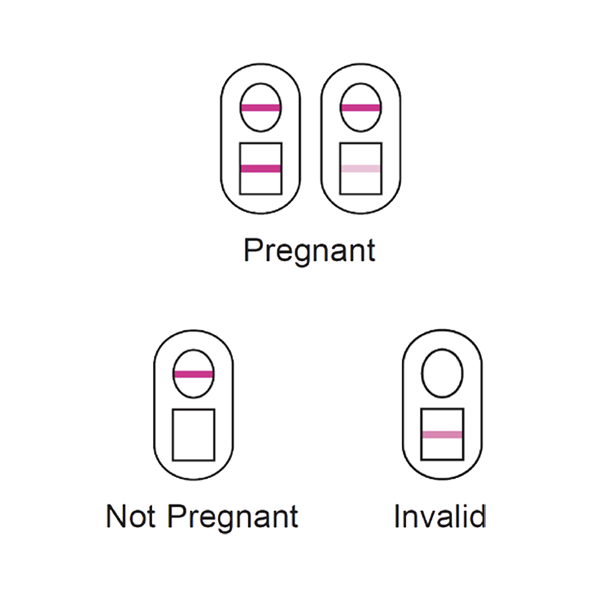 Pregnancy Test